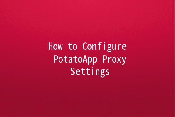 How to Configure PotatoApp Proxy Settings 🌐🍟