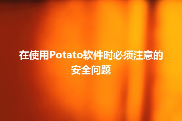 在使用Potato软件时必须注意的安全问题🛡️