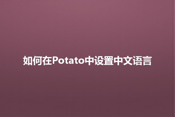 如何在Potato中设置中文语言 🔧🌟