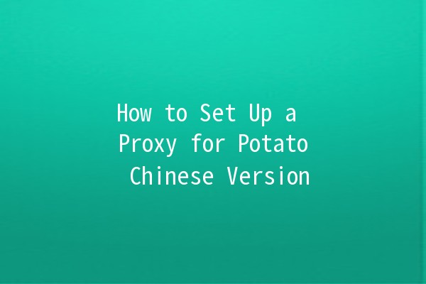 How to Set Up a Proxy for Potato Chinese Version 🌟🚀