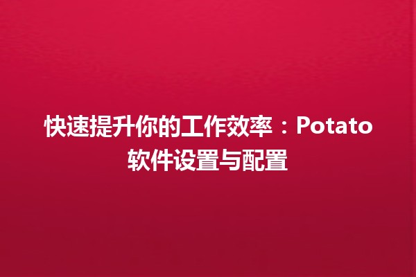 快速提升你的工作效率：Potato软件设置与配置🌟