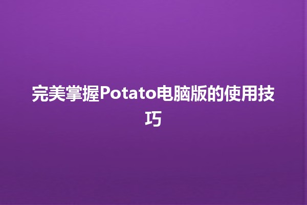 完美掌握Potato电脑版的使用技巧 🚀💻