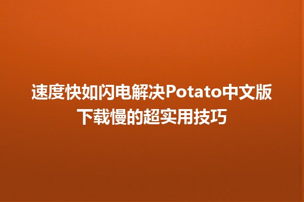 速度快如闪电⚡解决Potato中文版下载慢的超实用技巧