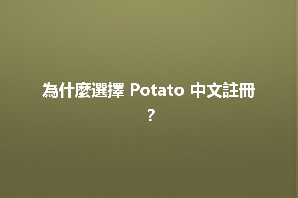 為什麼選擇 Potato 中文註冊？🌟