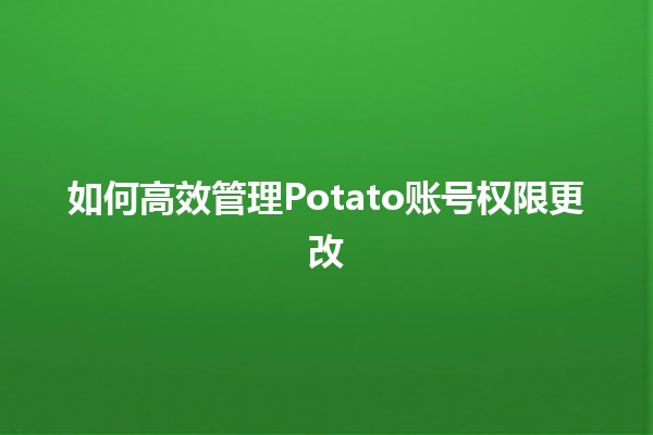 如何高效管理Potato账号权限更改🔑✨