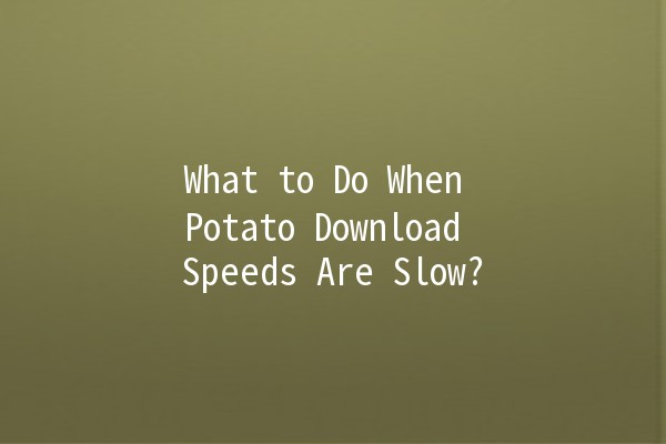 What to Do When Potato Download Speeds Are Slow? 🚀💻