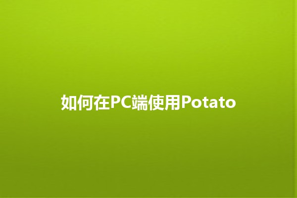 如何在PC端使用Potato🖥️🌱