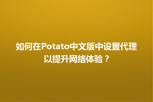 📡 如何在Potato中文版中设置代理以提升网络体验？