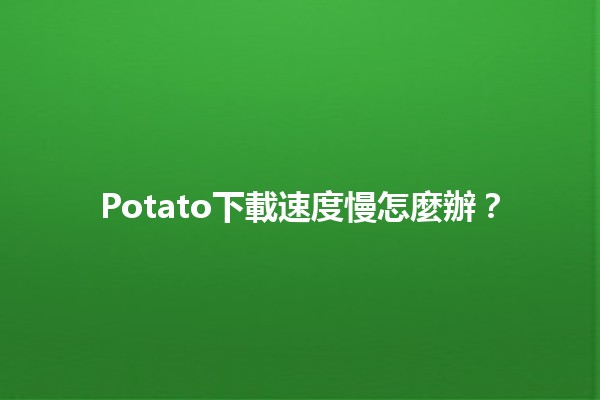 Potato下載速度慢怎麼辦？📉💻