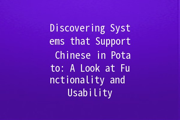 Discovering Systems that Support Chinese in Potato: A Look at Functionality and Usability 🥔🇨🇳