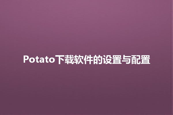 🥔 Potato下载软件的设置与配置✨