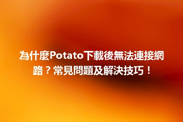 為什麼🍟Potato下載後無法連接網路？常見問題及解決技巧！