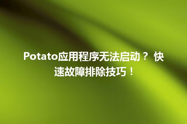 Potato应用程序无法启动？🌟 快速故障排除技巧！