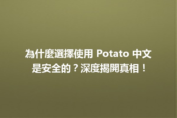 🍟 為什麼選擇使用 Potato 中文是安全的？深度揭開真相！