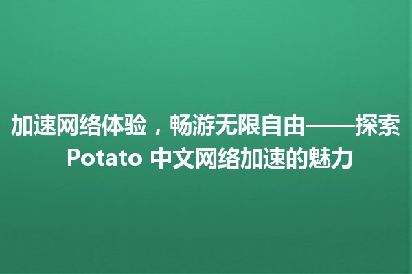 🌐 加速网络体验，畅游无限自由——探索 Potato 中文网络加速的魅力