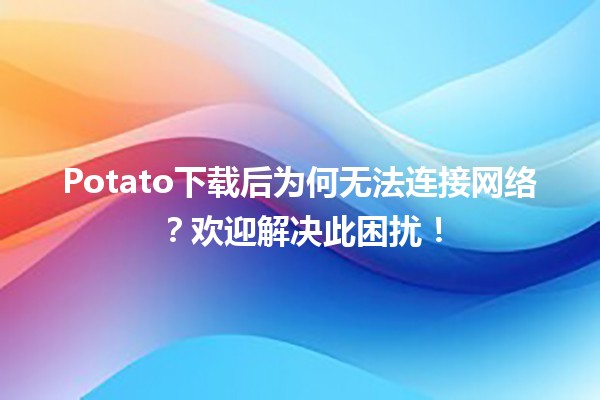 🥔 Potato下载后为何无法连接网络？欢迎解决此困扰！