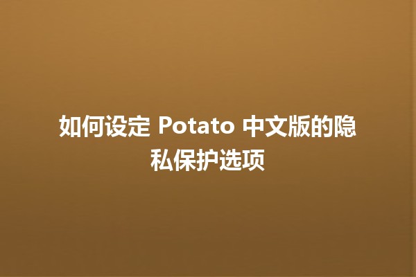 如何设定 Potato 中文版的隐私保护选项 🥔🔐