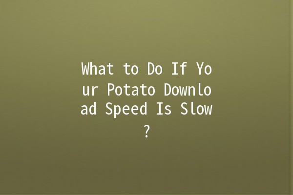 What to Do If Your Potato Download Speed Is Slow? 🚀🥔