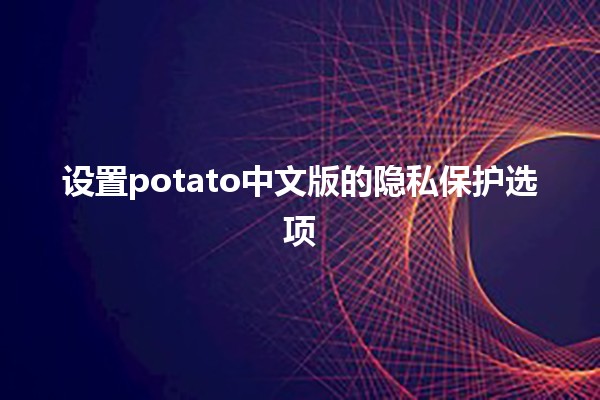 设置potato中文版的隐私保护选项🛡️🔒