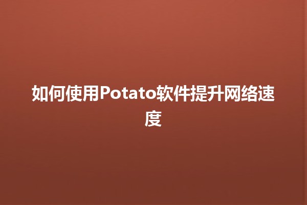 如何使用Potato软件提升网络速度 🚀✨