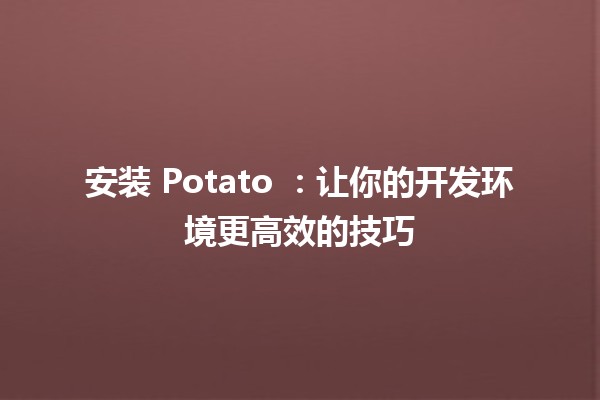 安装 Potato 💻：让你的开发环境更高效的技巧