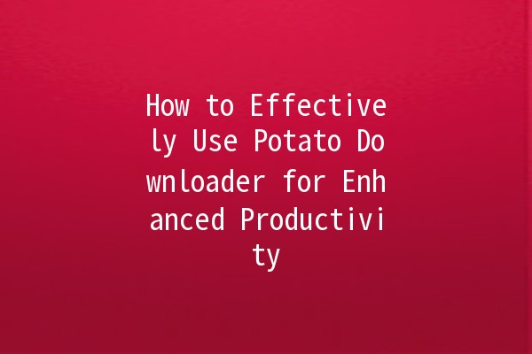 How to Effectively Use Potato Downloader for Enhanced Productivity 📂🚀