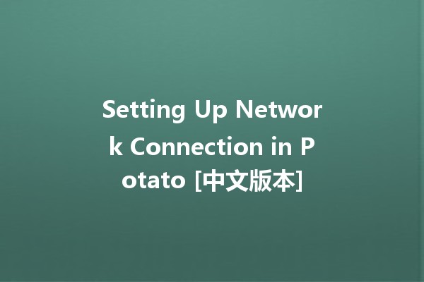 Setting Up Network Connection in Potato [中文版本]  🍟🌐