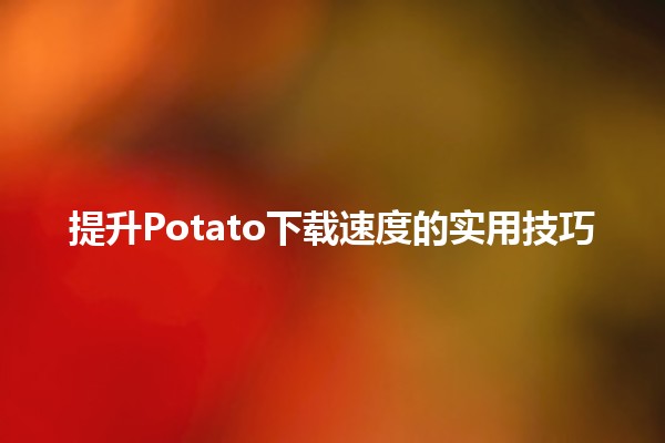 🚀 提升Potato下载速度的实用技巧💻