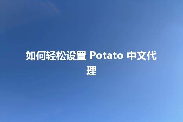 如何轻松设置 Potato 中文代理 📡🌐