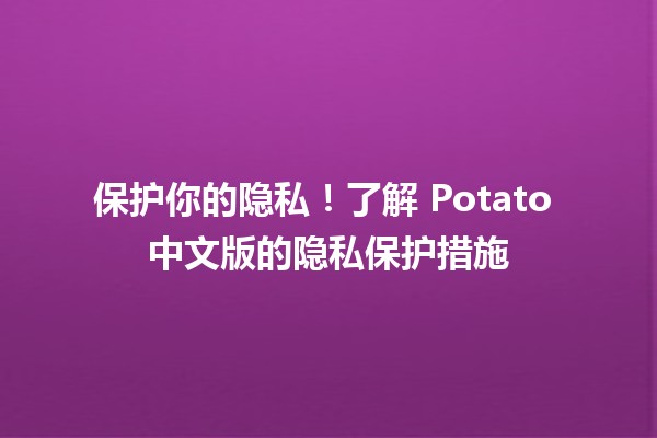 🍟 保护你的隐私！了解 Potato 中文版的隐私保护措施 🛡️