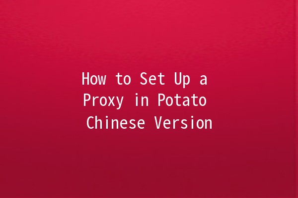 How to Set Up a Proxy in Potato Chinese Version 🥔✨