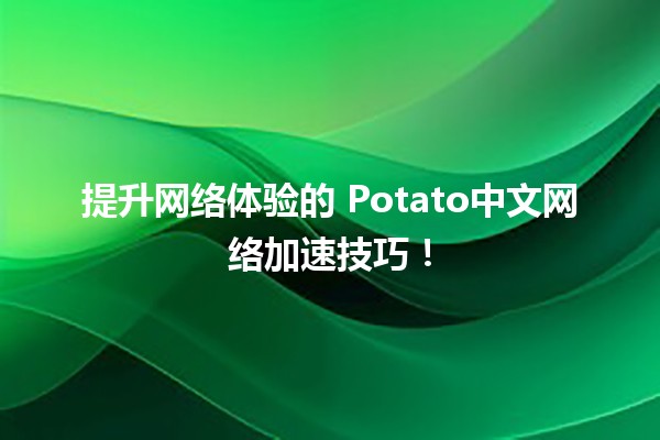 🚀 提升网络体验的⚡️ Potato中文网络加速技巧！