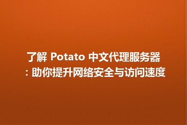 🌟 了解 Potato 中文代理服务器：助你提升网络安全与访问速度 🚀