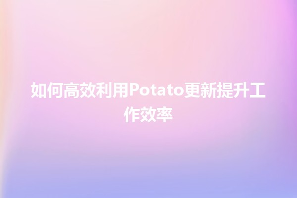 如何高效利用Potato更新提升工作效率🚀🥔