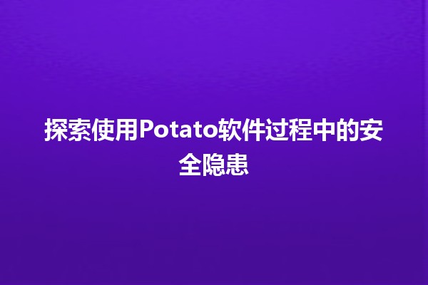 🥔 探索使用Potato软件过程中的安全隐患