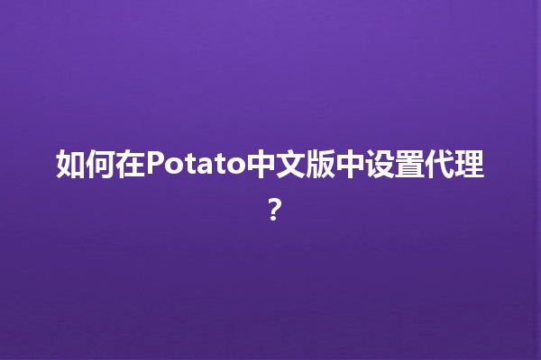 如何在Potato中文版中设置代理？🔧🌐