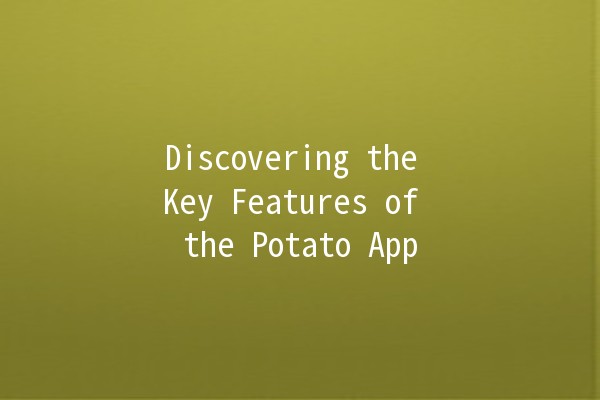 Discovering the Key Features of the Potato App 🌟