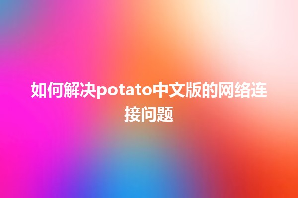 如何解决potato中文版的网络连接问题 🚀🌐