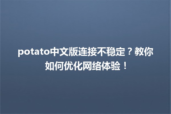 🥔 potato中文版连接不稳定？教你如何优化网络体验！